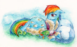 Size: 1545x959 | Tagged: safe, artist:yuzumiso, imported from derpibooru, rainbow dash, tank, pegasus, pony, tortoise, tanks for the memories, bathrobe, clothes, dashie slippers, duo, female, floppy ears, lying down, mare, pillow, robe, sad, slippers, tank slippers, traditional art, watercolor painting