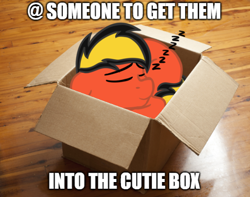 Size: 486x382 | Tagged: safe, artist:justapone, imported from derpibooru, oc, oc only, oc:golden blast, pony, box, colored, cute, eyes closed, if i fits i sits, lying down, onomatopoeia, pony in a box, ponyloaf, prone, sleeping, smiling, sound effects, zzz