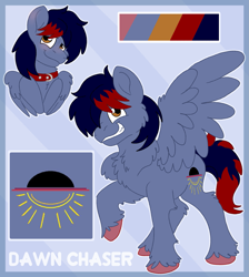 Size: 1701x1900 | Tagged: safe, artist:euspuche, imported from derpibooru, oc, oc only, oc:dawn chaser, pegasus, pony, blushing, bust, chest fluff, collar, colored hooves, commission, cutie mark, digital art, looking at you, male, pegasus oc, reference sheet, simple background, smiling, solo, spread wings, stallion, tail, two toned mane, two toned tail, wings