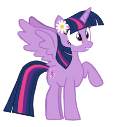 Size: 516x557 | Tagged: safe, artist:benpictures1, edit, imported from ponybooru, twilight sparkle, alicorn, pony, power ponies (episode), cute, female, flower, flower on ear, inkscape, mare, raised hoof, raised leg, shocked, simple background, solo, teeth, transparent background, twiabetes, twilight sparkle (alicorn), vector