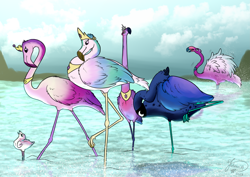 Size: 4093x2894 | Tagged: safe, artist:julunis14, imported from derpibooru, opaline arcana, princess cadance, princess celestia, princess flurry heart, princess luna, twilight sparkle, bird, flamingo, birdified, digital art, g5, long twilight, majestic as fuck, signature, silly, species swap, water