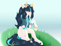 Size: 4000x3000 | Tagged: safe, artist:hell-fire13, imported from derpibooru, oc, oc only, bird, chicken, pony, clothes, grass, horns, sitting, solo