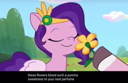 Size: 2048x1339 | Tagged: safe, edit, edited screencap, imported from derpibooru, screencap, pipp petals, earth pony, pegasus, pony, a day in the life, caption, dahlia, duo, eyes closed, female, flower, g5, jewelry, mare, meme, my little pony: tell your tale, raised hoof, smelling, smiling, solo focus, tiara, weird, youtube caption