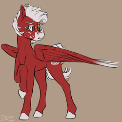 Size: 3600x3600 | Tagged: safe, artist:stardustspix, imported from ponybooru, oc, oc only, oc:manumit to the aethers, pegasus, pony, colored wings, facial markings, freckles, golden eyes, gradient wings, male, pegasus oc, raised hoof, raised leg, red coat, solo, stallion, white mane, wings