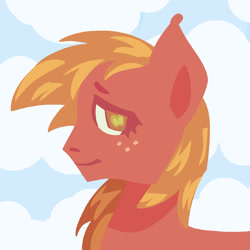 Size: 1280x1280 | Tagged: safe, artist:ghostbbee, imported from derpibooru, big macintosh, earth pony, pony, bust, cloud, freckles, portrait, profile, side view, smiling, solo