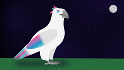 Size: 1920x1080 | Tagged: safe, artist:freestadiumtix, imported from derpibooru, zipp storm, bird, hawk, beak, birdified, claws, colored wings, g5, grass, manechat challenge, moon, multicolored wings, night, solo, species swap, wings