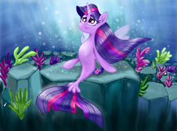 Size: 1191x880 | Tagged: artist needed, safe, imported from derpibooru, twilight sparkle, alicorn, mermaid, seapony (g4), my little pony: the movie, belly, bubble, clothes, coral, crepuscular rays, digital art, dorsal fin, eyelashes, female, fin, fin wings, fins, fish tail, flowing mane, flowing tail, horn, looking up, ocean, purple eyes, rock, scales, seabed, seaponified, seapony twilight, seaweed, see-through, sitting, smiling, species swap, spread wings, sunlight, tail, the little mermaid, twilight sparkle (alicorn), underwater, water, wings