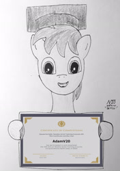 Size: 2024x2876 | Tagged: safe, artist:adamv20, imported from derpibooru, oc, oc only, pony, atg 2023, newbie artist training grounds, solo, traditional art