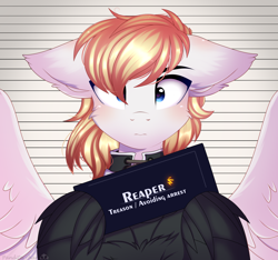 Size: 1600x1500 | Tagged: safe, artist:2pandita, imported from derpibooru, oc, oc:reaper, pegasus, pony, male, mugshot, solo, stallion