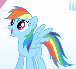 Size: 877x807 | Tagged: safe, imported from derpibooru, screencap, rainbow dash, pegasus, pony, season 1, sonic rainboom (episode), cropped, female, happy, looking up, mare, open mouth, smiling, solo, spread wings, standing, wings