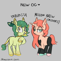 Size: 2560x2560 | Tagged: safe, artist:metaruscarlet, imported from derpibooru, oc, oc only, oc:mellow brew, oc:yabukita, earth pony, pony, unicorn, ear piercing, earring, earth pony oc, gray background, heart, horn, jewelry, looking at you, necklace, peacock feathers, piercing, simple background, unicorn oc