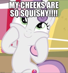 Size: 870x939 | Tagged: safe, edit, edited screencap, imported from derpibooru, screencap, sweetie belle, caption, cropped, cute, diasweetes, image macro, smiling, squishy cheeks, text