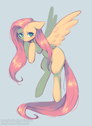 Size: 1219x1666 | Tagged: safe, artist:xpurplepiex, imported from derpibooru, fluttershy, pegasus, pony, blue background, female, floppy ears, mare, shy, simple background, solo, spread wings, wings