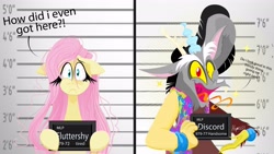 Size: 4096x2309 | Tagged: safe, artist:natalysweeneya1, imported from derpibooru, discord, fluttershy, pegasus, antlers, barbie (film), barbie mugshot meme, clothes, duo, duo male and female, exclamation point, eyelashes, female, handsome, horn, implied discoshy, implied shipping, implied straight, male, meme, messy mane, mugshot, question mark, snaggletooth, talking, text, tired, tongue out