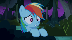 Size: 1280x720 | Tagged: safe, imported from derpibooru, screencap, rainbow dash, pegasus, pony, daring don't, female, forest, lip bite, mare, night, solo, sweat, worried