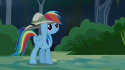 Size: 1280x720 | Tagged: safe, imported from derpibooru, screencap, rainbow dash, pegasus, pony, daring don't, season 4, bush, female, folded wings, forest, hat, mare, solo, wings