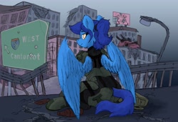 Size: 4096x2807 | Tagged: safe, artist:reddthebat, imported from derpibooru, oc, oc only, oc:amber steel, pegasus, pony, fallout equestria, city, female, frown, looking at you, looking back, looking back at you, mare, ruins, sitting, solo