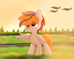 Size: 5150x4115 | Tagged: safe, artist:fededash, imported from derpibooru, oc, oc only, oc:fededash, pegasus, airport, argentina, crepuscular rays, event, glass, pegasus oc, plane, solo, tree, wings