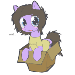 Size: 4500x4500 | Tagged: safe, artist:cactuscruncher, derpibooru exclusive, imported from derpibooru, earth pony, pony, absurd resolution, blue eyes, blushing, box, brown mane, clothes, emo, facial hair, josh franceschi, looking at you, male, messy mane, messy tail, open mouth, ponified, pony in a box, purple coat, shiny eyes, shirt, simple background, solo, stallion, t-shirt, tail, talking to viewer, transparent background, you me at six