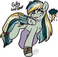 Size: 1920x1892 | Tagged: safe, artist:sexygoatgod, imported from derpibooru, oc, oc only, oc:gully washer, pegasus, adoptable, bandage, concave belly, female, magical lesbian spawn, offspring, parent:applejack, parent:rainbow dash, parents:appledash, simple background, solo, transparent background