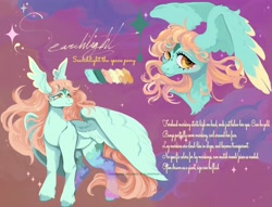 Size: 4096x3132 | Tagged: safe, artist:slimeprints, imported from derpibooru, oc, oc only, oc:searchlight, pegasus, pony, coat markings, facial markings, female, looking at you, mare, reference sheet, smiling, smiling at you, solo, space, star (coat marking), text, wing ears, wings