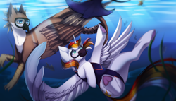 Size: 2274x1297 | Tagged: safe, artist:miralichan, imported from derpibooru, oc, oc only, alicorn, griffon, pegasus, pony, claws, clothes, commission, crepuscular rays, digital art, diving, feather, female, flowing mane, flowing tail, horn, looking up, male, manta ray, ocean, seaweed, spread wings, sunlight, swimming, swimsuit, tail, underhoof, underwater, water, wings