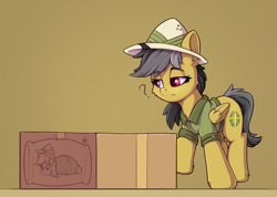 Size: 1066x759 | Tagged: safe, artist:zeepheru_pone, imported from derpibooru, daring do, pegasus, pony, atg 2023, body pillow, bondage, box, clothes, daring daki, female, gradient background, hat, looking at something, mare, newbie artist training grounds, question mark, shirt, solo