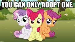 Size: 1280x720 | Tagged: safe, edit, edited screencap, imported from derpibooru, screencap, apple bloom, scootaloo, sweetie belle, the fault in our cutie marks, adoption, bronybait, caption, cute, cutie mark crusaders, image macro, looking at you, text