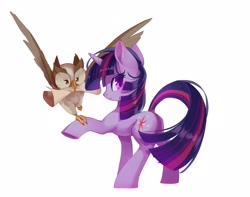 Size: 2048x1610 | Tagged: safe, artist:malt_cat, imported from derpibooru, owlowiscious, twilight sparkle, bird, owl, pony, unicorn, duo, female, horn, male, mare, mouth hold, scroll, simple background, unicorn twilight, white background
