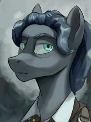 Size: 2028x2730 | Tagged: safe, artist:fly over, imported from derpibooru, oc, oc only, oc:abba povner, earth pony, pony, equestria at war mod, bust, looking away, male, portrait