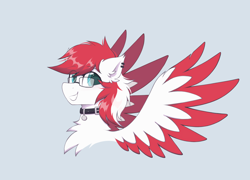 Size: 1864x1339 | Tagged: safe, alternate version, artist:coarfdraw, imported from derpibooru, oc, oc only, oc:driftbeat, pegasus, pony, chest fluff, collar, colored wings, colored wingtips, ear fluff, ear piercing, looking at you, male, piercing, smiling, smiling at you, spread wings, stallion, wings