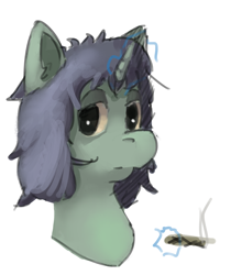 Size: 1790x2132 | Tagged: safe, oc, earth pony, pony, unicorn, solo