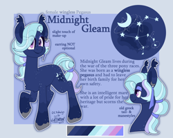 Size: 2500x2000 | Tagged: safe, imported from derpibooru, oc, oc:midnight gleam, pony, character design, female, mare, reference sheet