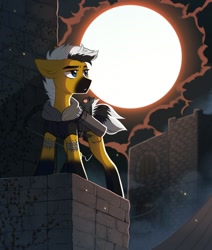 Size: 870x1024 | Tagged: safe, artist:kirionek, oc, oc only, earth pony, pony, castle, city, fullmoon, night, solo