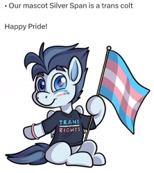 Size: 1496x1688 | Tagged: safe, imported from ponybooru, oc, oc:silver span, pegasus, pony, babscon, colt, male, pride, pride flag, solo, trans rights, transgender, transgender pride flag