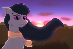 Size: 827x562 | Tagged: safe, artist:gosha305, imported from derpibooru, octavia melody, bust, cheek fluff, chest fluff, clothes, cute, ear fluff, eyelashes, female, flowing mane, looking at you, portrait, scarf, smiling, smiling at you, solo, sun, sunset, wind