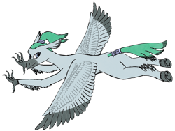 Size: 3196x2409 | Tagged: safe, artist:exhumed legume, imported from ponybooru, oc, oc only, unnamed oc, hippogriff, colored wings, colored wingtips, digitally colored, flying, hippogriff oc, looking back, looking sideways, male, mixed media, pencil drawing, ponybooru collab 2023, ponybooru exclusive, ponytail, simple background, solo, tail wrap, traditional art, transparent background