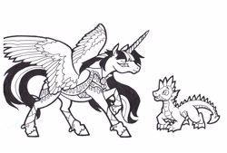 Size: 3448x2328 | Tagged: safe, artist:foldawaywings, imported from derpibooru, spike, twilight sparkle, alicorn, dragon, pony, black and white, brother and sister, clothes, duo, female, grayscale, ink drawing, leg wraps, male, mare, monochrome, quadrupedal spike, realistic anatomy, realistic horse legs, siblings, simple background, traditional art, twilight sparkle (alicorn), white background