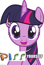 Size: 500x741 | Tagged: safe, imported from derpibooru, twilight sparkle, caption, expand dong, exploitable meme, image macro, meme, microsoft, powerpoint, shitposting, text