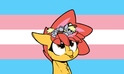Size: 800x480 | Tagged: safe, edit, imported from ponybooru, derpy hooves, oc, oc:ciaran, bait, drama bait, headcanon, op isn't even trying anymore, pride, pride flag, solo, transgender pride flag