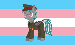 Size: 720x432 | Tagged: safe, artist:rainbowšpekgs, edit, imported from ponybooru, oc, oc only, oc:malachite cluster, bat pony, pony, pride, pride flag, transgender pride flag