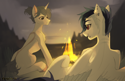 Size: 4246x2752 | Tagged: safe, artist:teturirusu, imported from derpibooru, oc, oc:dia, pegasus, unicorn, campfire, commission, looking at each other, looking at someone, night, piercing, ych result