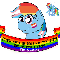 Size: 2000x2000 | Tagged: safe, anonymous editor, artist:da bunnana king, edit, rainbow dash, pegasus, pony, /s4s/, 4chan, bust, dyed mane, face paint, female, gay pride flag, lesbian, lesbian pride flag, lgbt, lgbtq, mane dye, mare, mouthpiece, multicolored hair, multicolored mane, old banner, open mouth, open smile, pride, pride flag, protest, rainbow, rainbow flag, raised hoof, simple background, smiley face, smiling, solo, spread wings, stock vector, text, transgender, transgender pride flag, vulgar, white background, wings