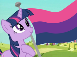 Size: 978x720 | Tagged: safe, anonymous editor, edit, edited edit, edited screencap, screencap, twilight sparkle, pony, unicorn, bisexual, bisexual pride flag, crystal empire, female, flag, headcanon, hoof on chest, lgbt, lgbt headcanon, lgbtq, mare, mouthpiece, pride, pride flag, sexuality headcanon, smiling, solo, unicorn twilight