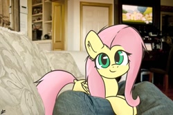Size: 1000x667 | Tagged: safe, artist:tz055, imported from derpibooru, angel bunny, fluttershy, human, pegasus, pony, rabbit, animal, apple, bird house, blurry, blurry background, chair, clothes, cottage, couch, cute, denim, dock, door, ear fluff, female, fence, flower, fluffy, fluttershy's cottage, folded wings, food, grass, house, hub logo, hub network, indoors, intro, irl, jeans, legs, logo, looking at you, lying down, mare, meme, mountain, mountain range, object, offscreen character, opening, opening theme, outdoors, pants, photo, ponies in real life, pov, prone, real life background, shelf, shyabetes, sky, smiling, smiling at you, soft shading, spread wings, tail, television, the hub, theme song, tree, window, wings