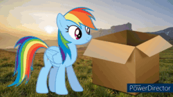 Size: 1280x720 | Tagged: safe, imported from twibooru, rainbow dash, pegasus, pony, box, burp, buttercup (powerpuff girls), butterprey (ppg), crossover, duo, duo female, endosoma, female, female pred, female prey, image, inside stomach, mp4, preddash, sleeping, stomach noise, the powerpuff girls, vore