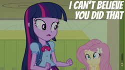 Size: 4400x2475 | Tagged: safe, edit, edited screencap, editor:quoterific, imported from derpibooru, screencap, fluttershy, twilight sparkle, equestria girls, equestria girls (movie)