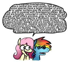 Size: 866x761 | Tagged: safe, artist:punkittdev, imported from derpibooru, fluttershy, rainbow dash, pegasus, pony, bags under eyes, cute, dialogue, female, flutterdash, irrational exuberance, lesbian, mare, shipping, shyabetes, simple background, smiling, speech bubble, text, wall of text, white background