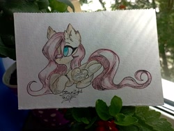 Size: 4080x3072 | Tagged: safe, artist:jsunlight, imported from derpibooru, fluttershy, pegasus, pony, bow, hair bow, lying down, prone, solo, traditional art