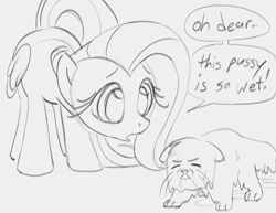 Size: 961x742 | Tagged: safe, artist:dotkwa, imported from derpibooru, fluttershy, cat, pegasus, pony, cute, dialogue, double entendre, female, gray background, grayscale, mare, monochrome, phrasing, shyabetes, simple background, sketch, speech bubble, wet